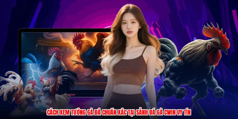 Cách Xem Tướng Gà Đá Chuẩn Xác Tại Sảnh Đá Gà CWIN Uy Tín