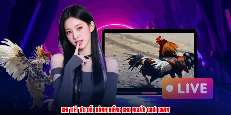 Chi tiết ưu đãi dành riêng cho người chơi CWIN