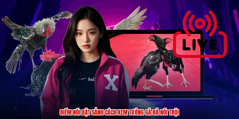 Điểm nổi bật sảnh cách xem tướng gà đá nổi trội