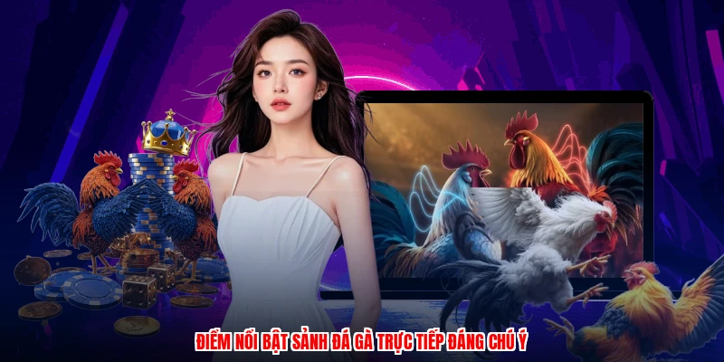 Điểm nổi bật sảnh đá gà trực tiếp đáng chú ý