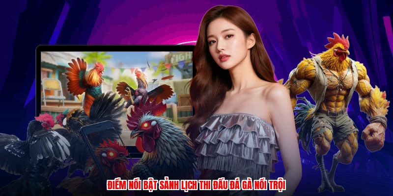Điểm nổi bật sảnh lịch thi đấu đá gà nổi trội