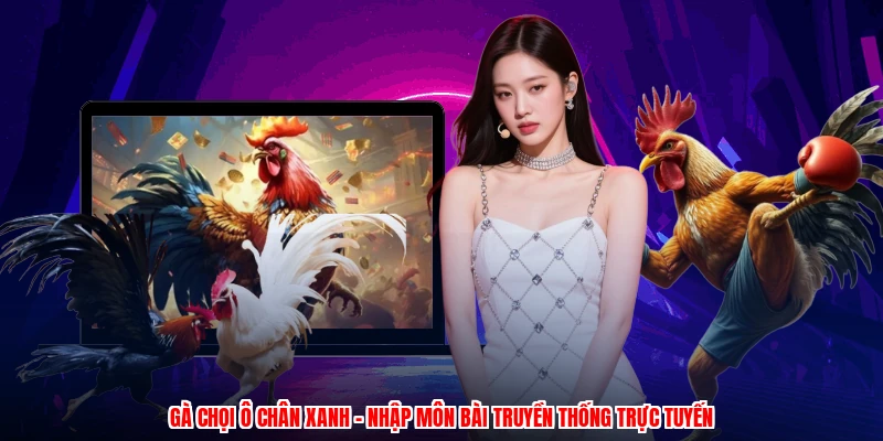 Gà Chọi Ô Chân Xanh - Nhập Môn Bài Truyền Thống Trực Tuyến