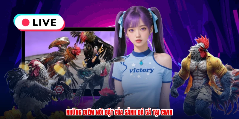 Những điểm nổi bật của sảnh đá gà tại CWIN