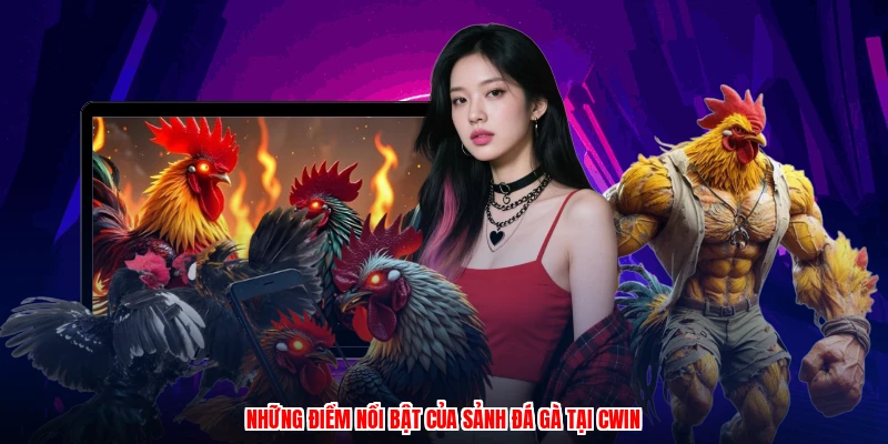 Những điểm nổi bật của sảnh đá gà tại CWIN