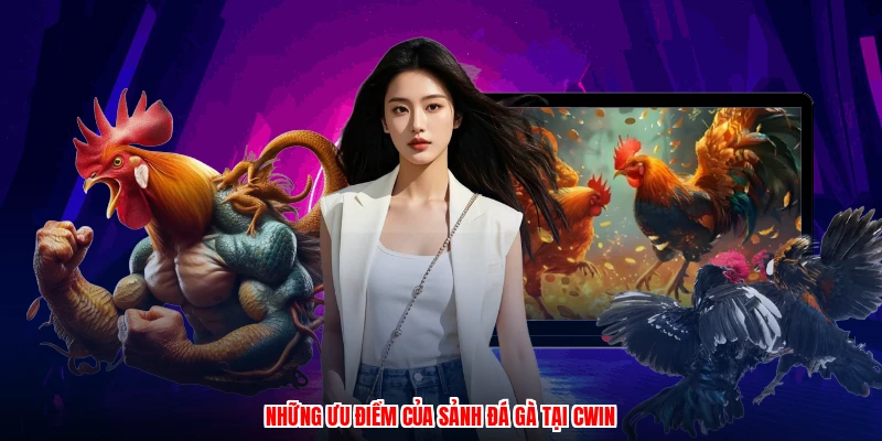 Những ưu điểm của sảnh đá gà tại CWIN