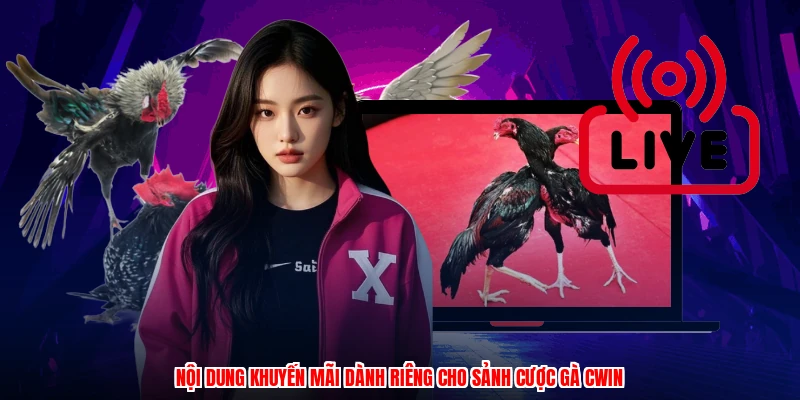 Nội dung khuyến mãi dành riêng cho sảnh cược gà CWIN