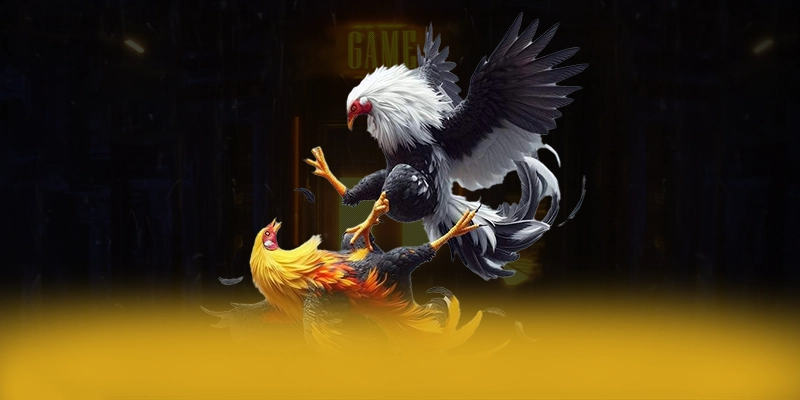 FB88 - Sân chơi cung cấp hàng trăm tựa game đẳng cấp 2026
