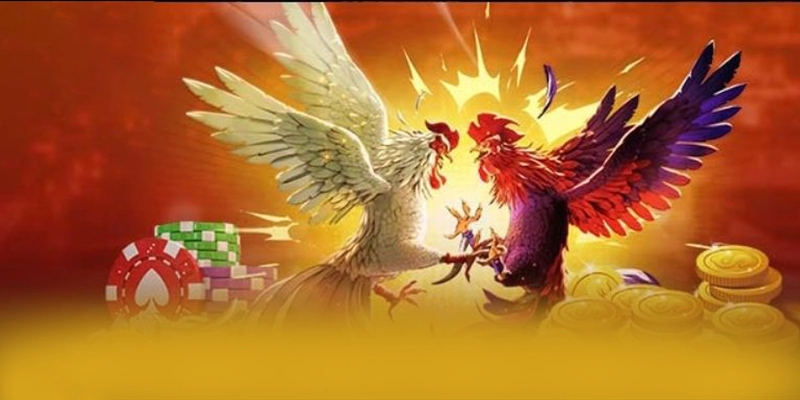 BET168 - Đánh giá tổng thể một cách tổng quan.